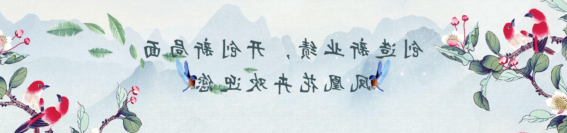 公司简介